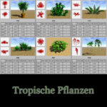 3D Plant Model Library Vol. 1 [Digital] – Bild 9