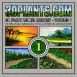 3D Plant Model Library Vol. 1 [Digital]