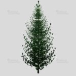 Baum-Set 1 - Five Trees [Digital] – Bild 3