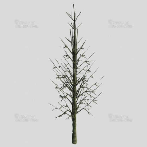 Baum-Set 1 - Five Trees [Digital] – Bild 4