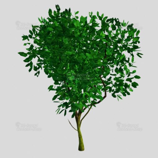 Baum-Set 1 - Five Trees [Digital] – Bild 5