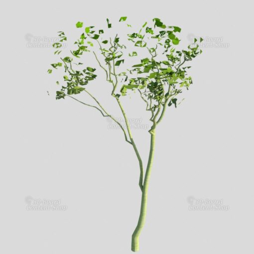Baum-Set 1 - Five Trees [Digital] – Bild 6