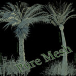 3D Plant Model Library Vol. 1 [Digital] – Bild 14