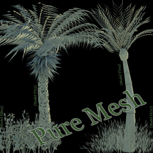 3D Plant Model Library Vol. 1 [Digital] – Bild 14