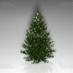 Weihnachtsbaum-Set [Digital] – Bild 6