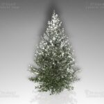 Weihnachtsbaum-Set [Digital] – Bild 7