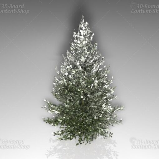 Weihnachtsbaum-Set [Digital] – Bild 7
